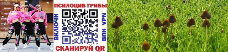 Псилоцибиновые грибы ЛСД Рязань