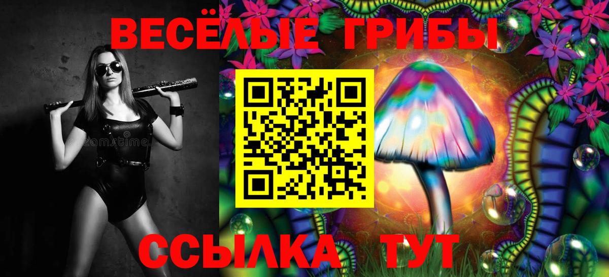 Галлюциногенные грибы MAGIC MUSHROOMS Рязань